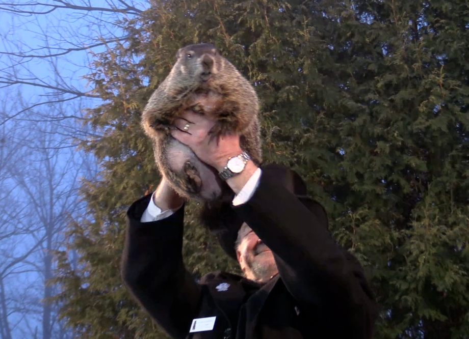 Happy Groundhog Day everyone! Phil didn’t see his shadow this year so the people…