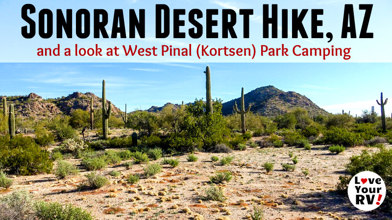 morning-hike-in-the-sonoran-desert-near-pinal-west-county-park-az