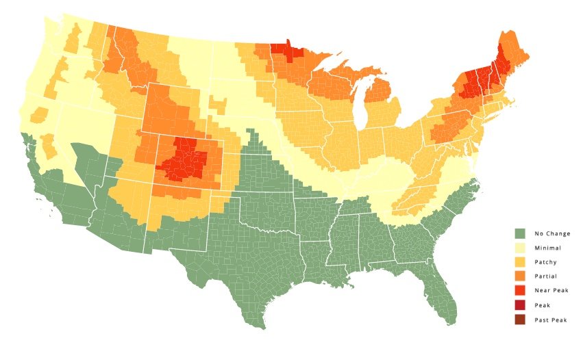 Map of fall foliage for this year