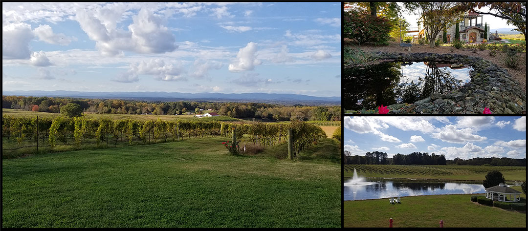 Too Many Vineyards to Count – Yadkin Valley NC