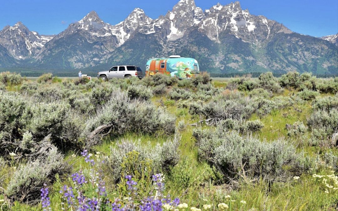 Where to Roam in Wyoming