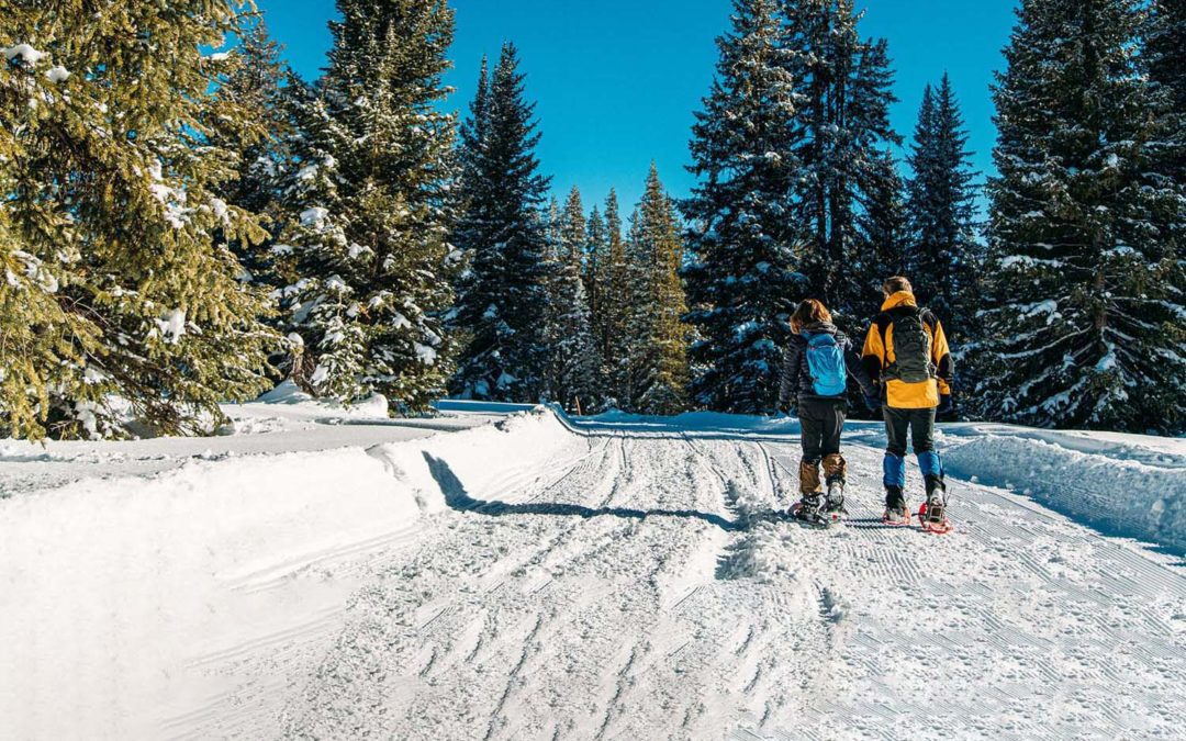 Take a Winter Walk On a Guided Snowshoe Adventure