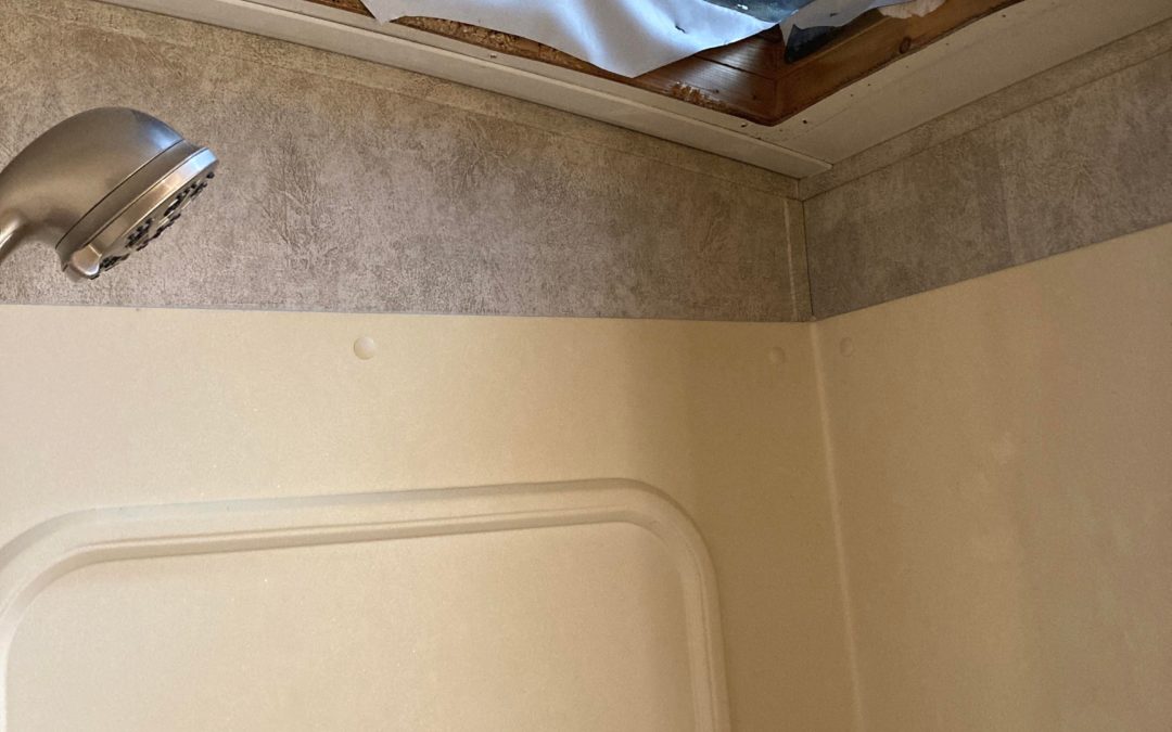 Trust your nose! Persistent musty smell in bathroom turned out to be a