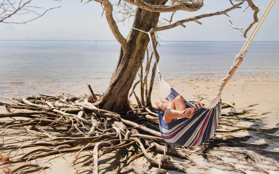Explore Florida’s Untamed Coast in Levy County and Cedar Key