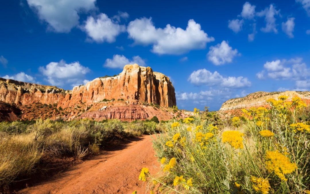 10 Reasons to Visit New Mexico