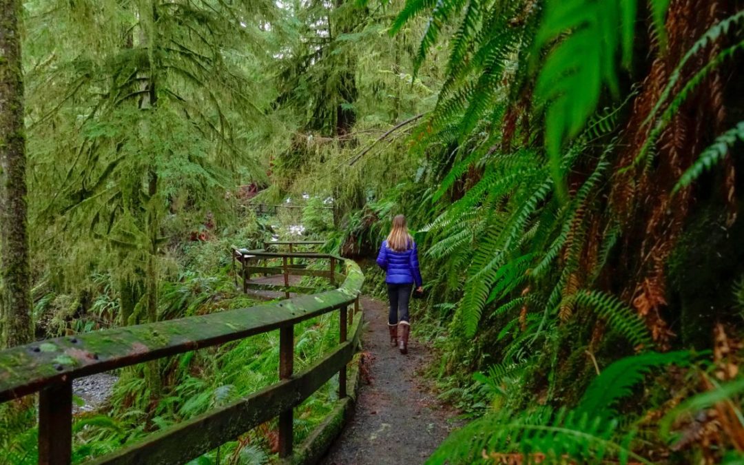 Elma RV Park: Gateway to Washington’s Olympic Peninsula