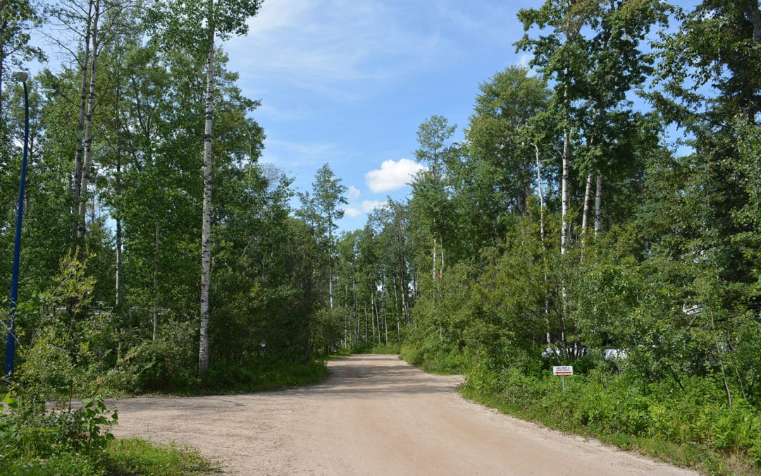 Nitehawk Wilderness Campground & RV Park: Your Year-Round Destination for Outdoor Family Fun