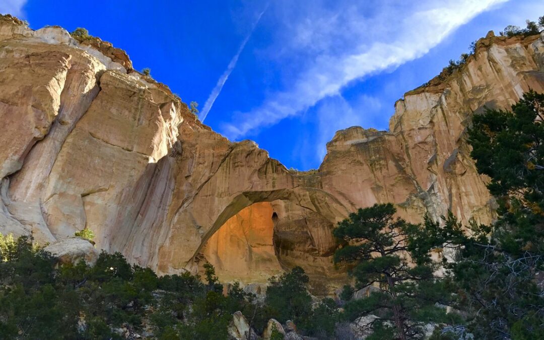 Lavaland RV Park Brews Up Adventure in New Mexico