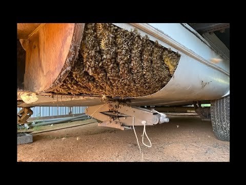 Amazing Discovery In An Abandoned RV