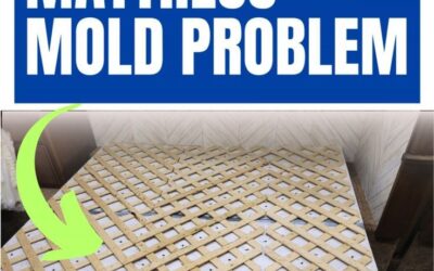 The DIY that Changed my RV Camping Life!