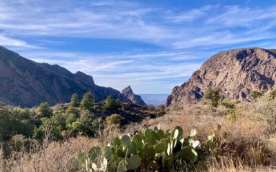 The Best National Parks to Visit in Spring