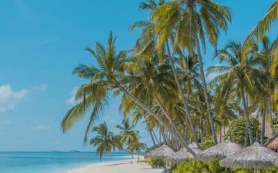 The Maldives: What to do Besides the Beach
