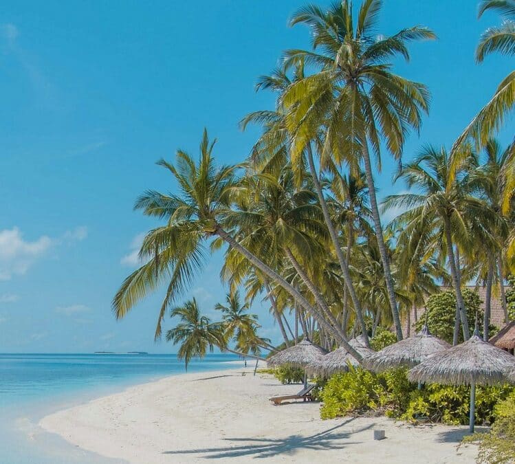 The Maldives: What to do Besides the Beach