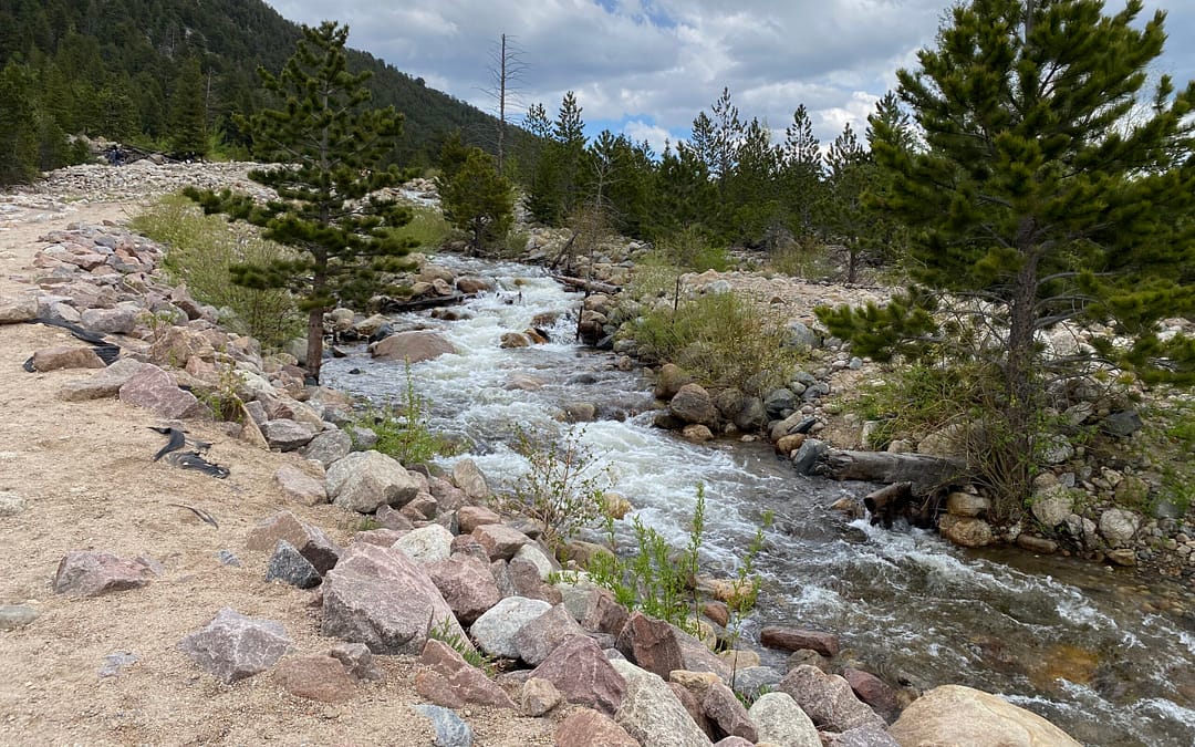 The Best National Parks to Visit in Summer