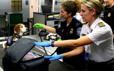 How to Make U.S. Airport Security Easier Before Your Next Adventure
