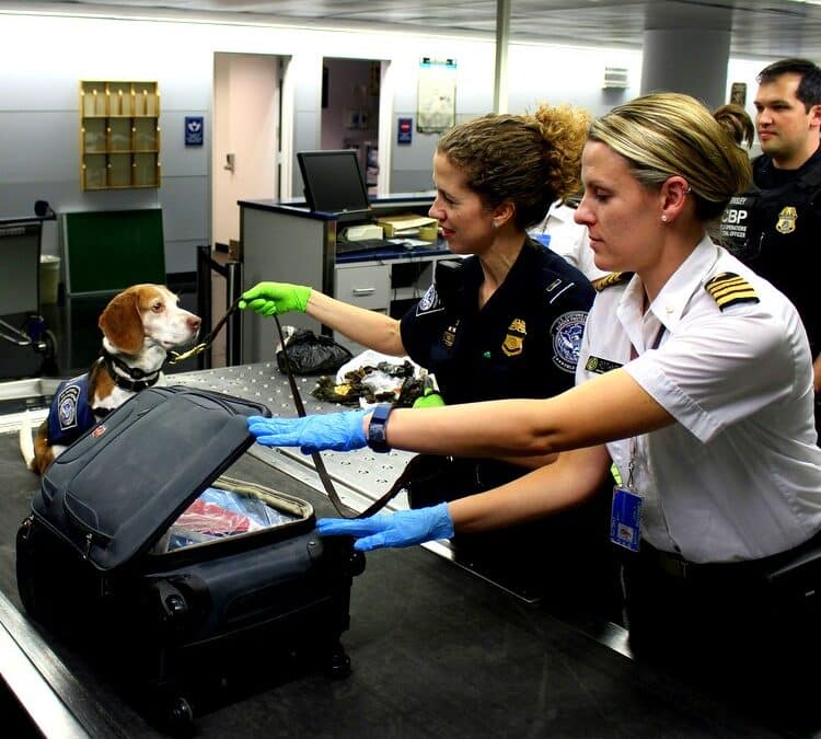 how-to-make-us.-airport-security-easier-before-your-next-adventure